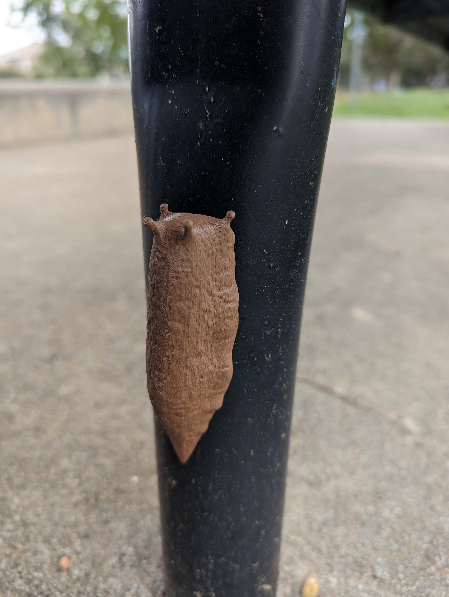 Slug 3d printed geocache with magnet and log - ready to be hidden!