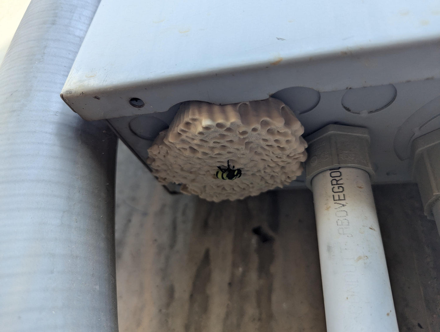 Wasp nest realistic 3d printed geocache with log and magnet - ready to be hidden!
